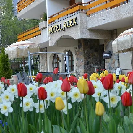 Alex Hotel Leukerbad