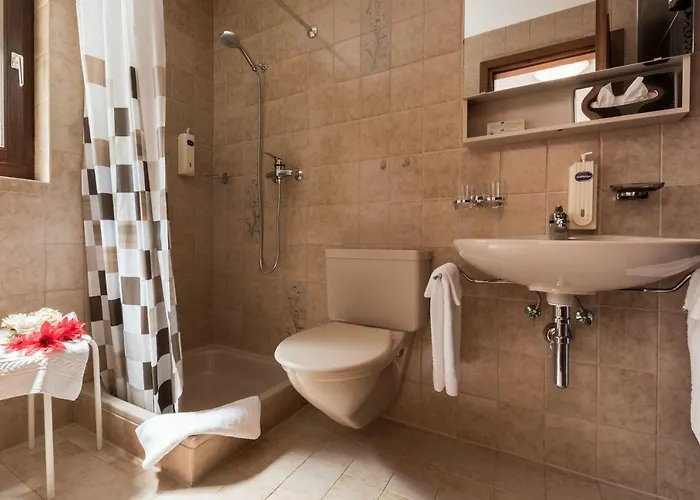 Отель Alex Лойкербад