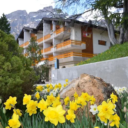 亚历克斯酒店 酒店 洛伊克巴德