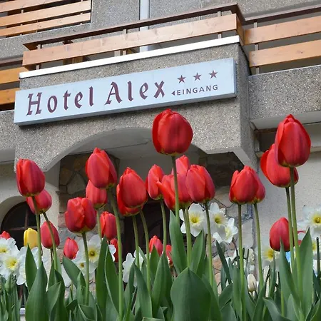 亚历克斯酒店 3*