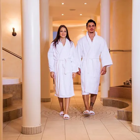 亚历克斯酒店 3* 洛伊克巴德