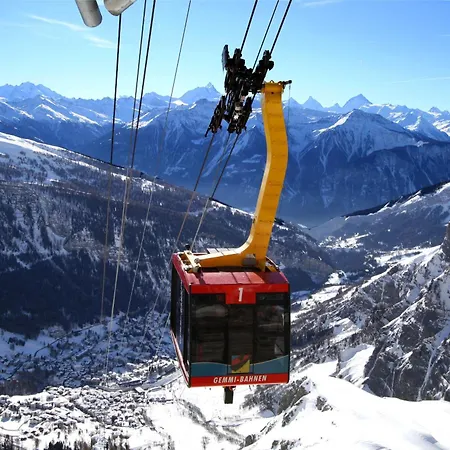 酒店 亚历克斯酒店 3*