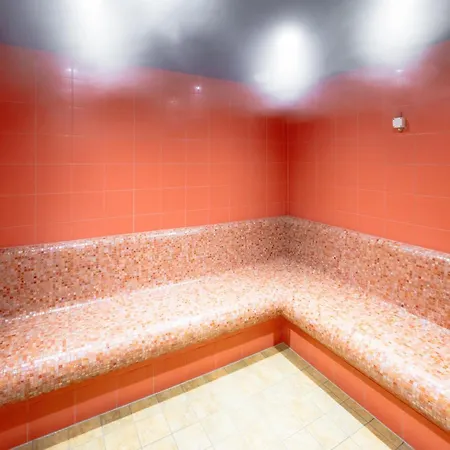 亚历克斯酒店 3* 洛伊克巴德