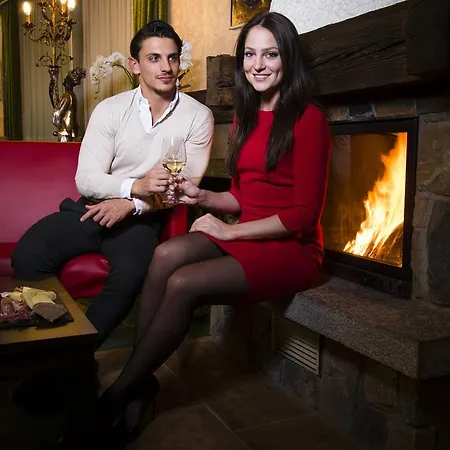 亚历克斯酒店 酒店 洛伊克巴德